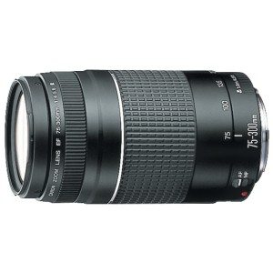 Canon EF 75-300mm f/4-5.6 III Telephoto Zoom Lens 