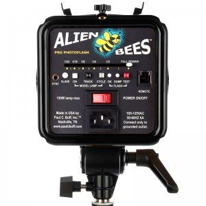 rent a photography studio_alien bees 800_2