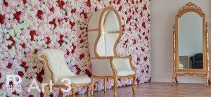 Art 3 comes with 10'x15' rose wall, gold&white furniture. Floors are laminated and there are sheer curtains on both windows.