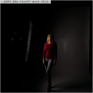 Using A Soft Box / Soft Box 24x48 grid