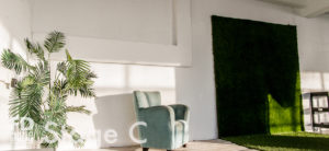 Rent Photo Studio with cyc wall, grass wall and white wood floor