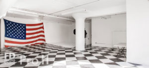 Pro Stage II with north facing window and US Flag