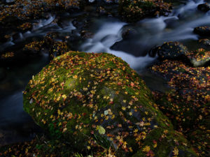 Fuji GFX 50S: Medium Format DIGITAL CAMERA