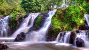 Shutter Speed