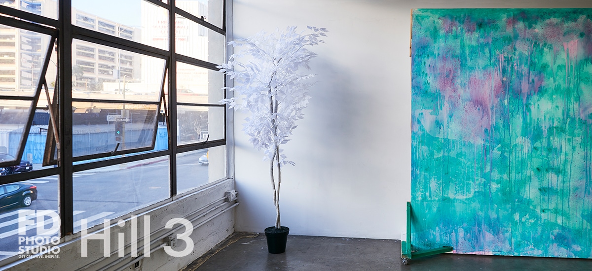 Photo & video natural light studio rental in Los Angeles