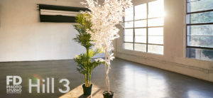 Photo & video natural light studio rental in Los Angeles
