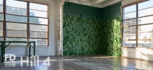 Green Tropical Wall in Hill 4