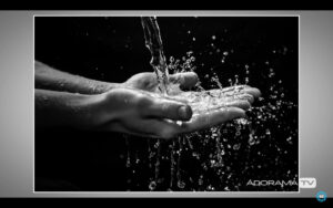 Wet-Portraits-with-Gavin-Hoey