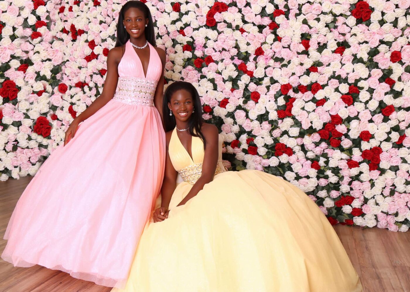 Twin-Princesses---twice-as-pretty!