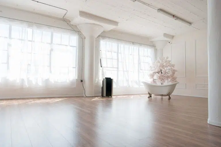 rose wall photo and video studio rental in Los Angeles