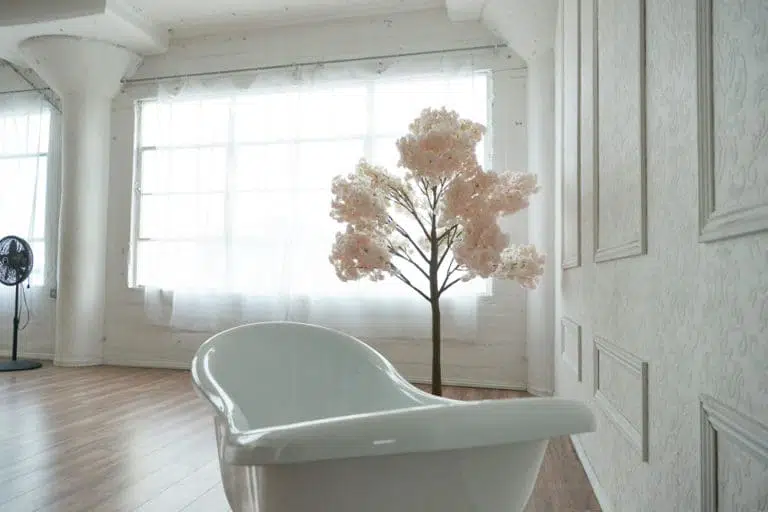 rose wall photo and video studio rental in Los Angeles
