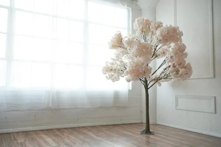 rose wall photo and video studio rental in Los Angeles