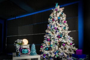 FD Christmas set ups 2019 – pro III
