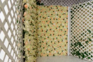 Lattice Rose wall set available for photo and video rental in Los Angeles