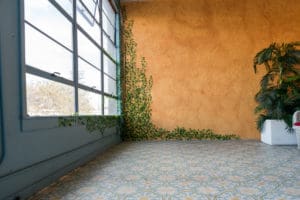 Creeper plant set available with Hill 4 rental