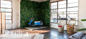 Jungle Themed photo Studio available for rental in Los Angeles