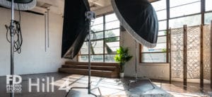 Jungle Themed photo Studio available for rental in Los Angeles