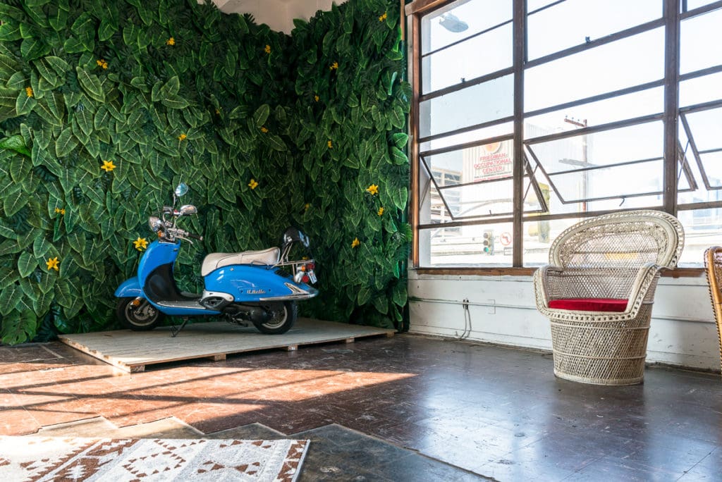 Jungle Themed photo Studio available for rental in Los Angeles