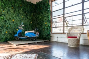 Jungle Themed photo Studio available for rental in Los Angeles