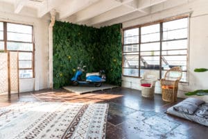 Jungle Themed photo Studio available for rental in Los Angeles