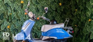 Tropical Theme photo studio available for rental in Los Angeles