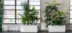Tropical Theme photo studio available for rental in Los Angeles