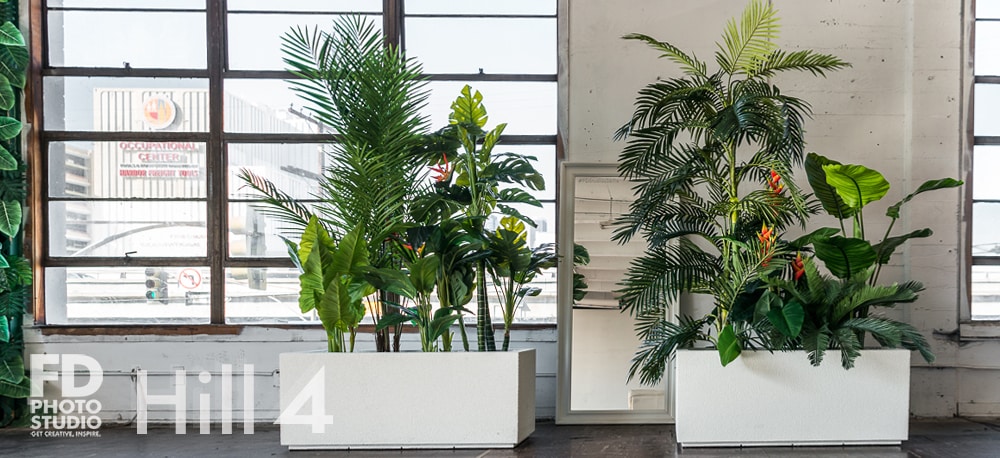 Tropical Theme photo studio available for rental in Los Angeles