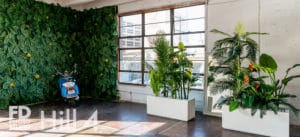Tropical Theme photo studio available for rental in Los Angeles