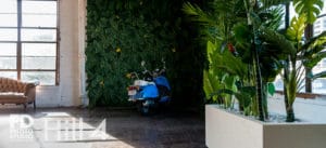 Tropical Theme photo studio available for rental in Los Angeles