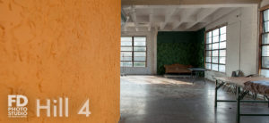 Jungle Themed Photo Studio available for rental in Los Angeles