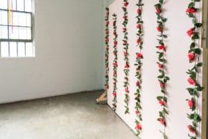 Pink and Rose flat available with Hill 6 Studio rental