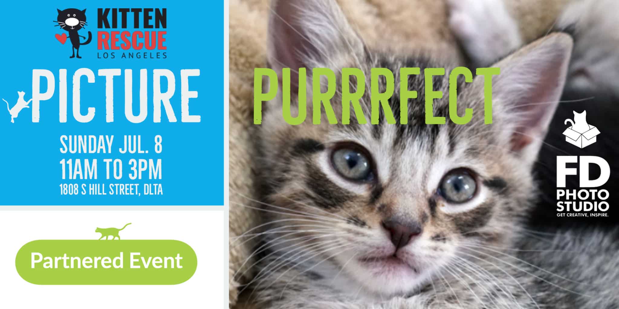 Rescue Mixer : Photography Event with extra Feline | FD Photo Studio