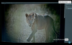 Get-Cropping!-With-David-Bergman-and-ADORAMA-TV