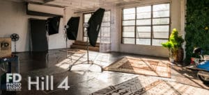 Jungle Themed photo Studio available for rental in Los Angeles