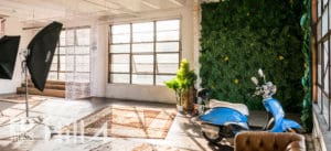 Jungle Themed photo Studio available for rental in Los Angeles