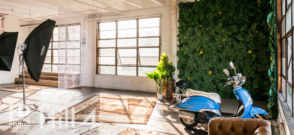 Jungle Themed photo Studio available for rental in Los Angeles