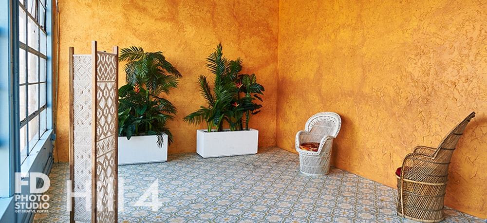 Jungle Themed photo Studio available for rental in Los Angeles