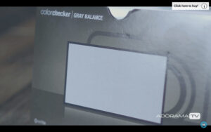 Checking Color Balance with David Bergman