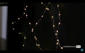 Become Better Photographer: Playing with Bokeh with David Bergman