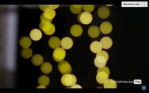 Become Better Photographer: Playing with Bokeh with David Bergman