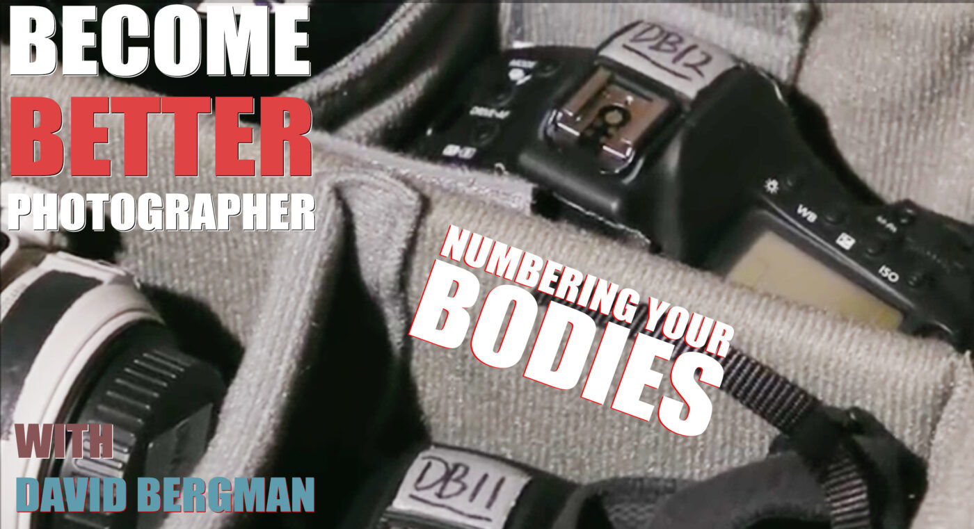 Become Better Photographer: Numbering Your Bodies with David Bergman