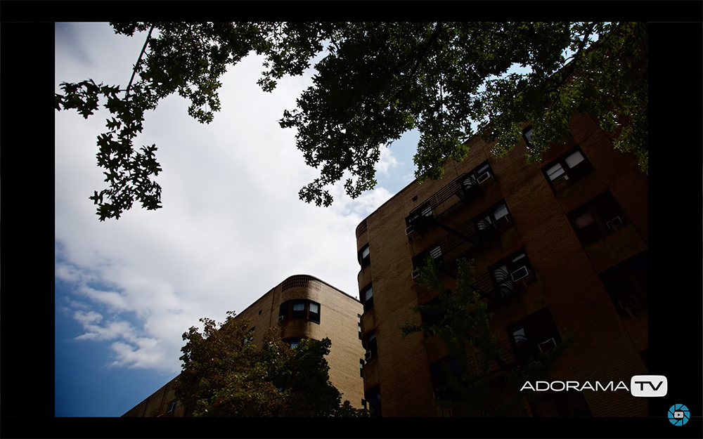 Become Better Photographer: Using a Histogram with David Bergman