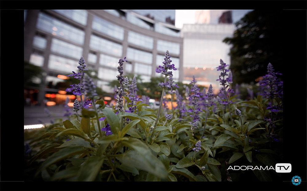 Become Better Photographer: Foreground Focus with David Bergman