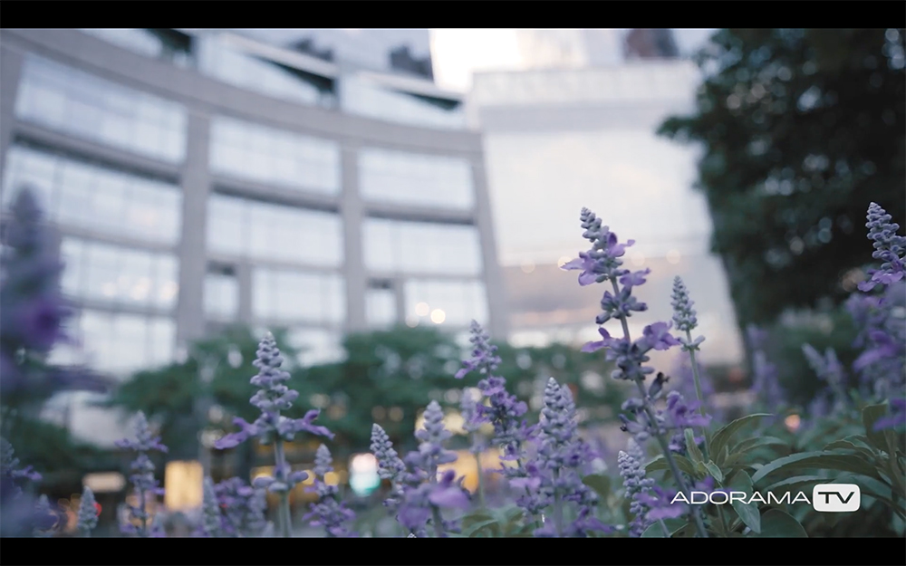 Become Better Photographer: Foreground Focus with David Bergman