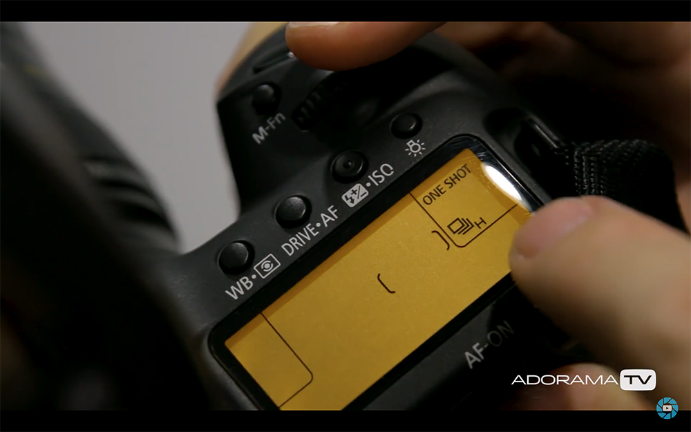 Become Better Photographer: Autofocus Assistance with David Bergman