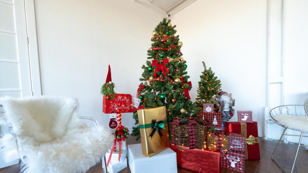 Astoria 10 - Daylight photo studio loft with Christmas tree decorations, wooden floor for rent in Astoria, Queens, NY_01