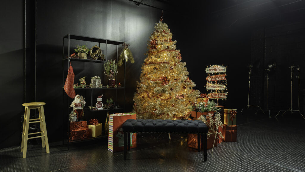 Astoria 4 - Blackout photo studio with Christmas tree for rent in NY_01
