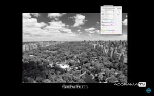 Become Better Photographer: Using Red Filter with David Bergman