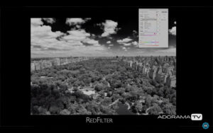Become Better Photographer: Using Red Filter with David Bergman