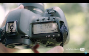 Become Better Photographer: Nifty Fifty with David Bergman